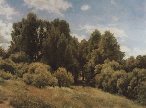 The glade